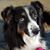 Sandra Magee's profile image