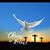 Sylvia M Richards's profile image