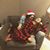 Ashley Shaffer's profile image