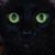 Teanna Byerts's profile image