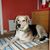 Jim Sletten's profile image