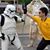 Steven Lim's profile image