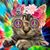 Stephanie Jeanne White's profile image