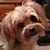 Holly Mackesy's profile image