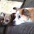 Alondra Celli's profile image