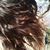 Barb Crawford's profile image