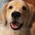 Catherine L. Benua's profile image