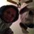 Karlin Cummings's profile image