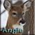 Angie Ardoin Turner's profile image