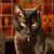 Magdalene Ntonados's profile image
