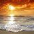 Kimberly Hua's profile image