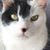 Leah Hutchison's profile image