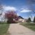 Judy Matteson's profile image