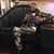 Jules Jason Thibodeaux's profile image