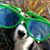 Mary O'Dell's profile image