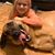 Erica Talbot's profile image