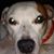 Benny Jr La Commare's profile image