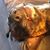 Jaspher Tolson's profile image