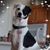 Sue Wetzel's profile image