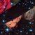 Linda Pollen Fusco's profile image