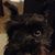 Rich Faustino's profile image