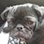 Brent Cheramie's profile image
