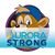 David Comstock's profile image