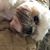 Kathy De Luke Breen's profile image