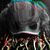 Josh C.'s profile image