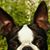 Michelle Waterman's profile image