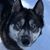 Joan MacSweeney's profile image