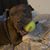 Heidessa Lou Bentzler's profile image