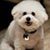 Mona Cox Whitlake's profile image