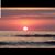 Tracie Carver Baldwin's profile image