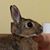 Laura Fitterman's profile image