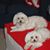 Bob M Beauchamp's profile image