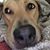 Deb Hutchinson's profile image