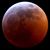 Brenton LeMesurier's profile image