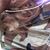Westly Aron Barcato's profile image