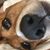 Joshua King-Slowinski's profile image