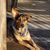 Beth Anne's profile image