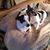 Melanie Buck Presley's profile image