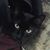 Heather Eaton's profile image