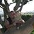 Charles Serrano's profile image