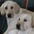 Brenda Briney Medley's profile image