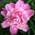 Sandy Hosch's profile image