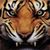 Faheem Khan's profile image