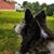 Christopher M. LaBoy's profile image