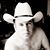 Barry Cunningham's profile image