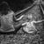 Debbie Geyer Hayes's profile image